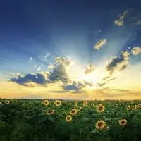 問(wèn)不下，從蕭山到河南周口市項(xiàng)城市是多少錢一噸